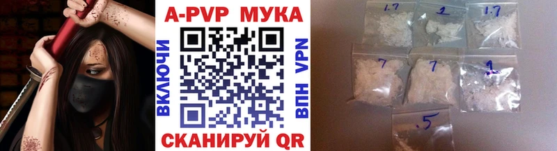 Альфа ПВП СК  Онега 