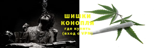 гашик Беломорск