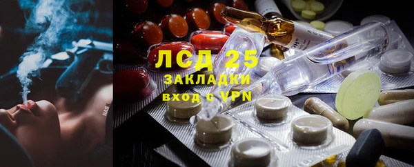 гашик Беломорск