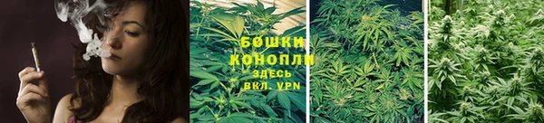 дживик Белоозёрский